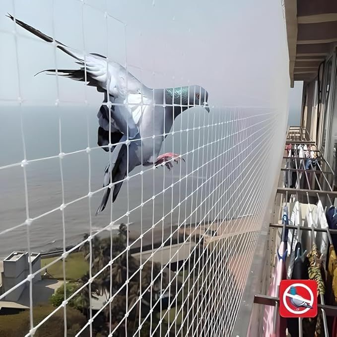 Pigeon Net Installation Service