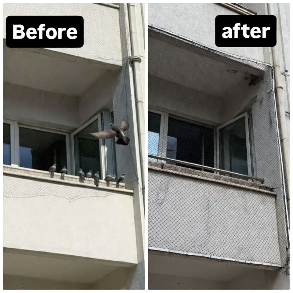 Pigeon Net Installation Service Kathmandu